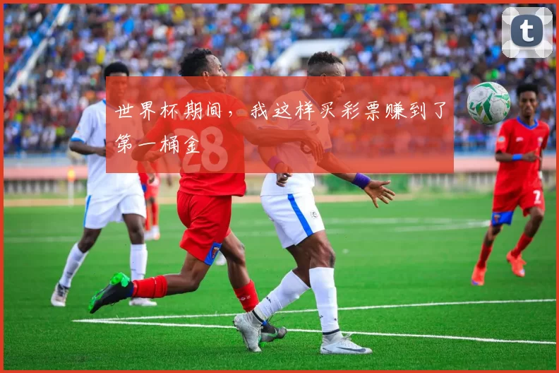 世界杯期间，我这样买彩票赚到了第一桶金