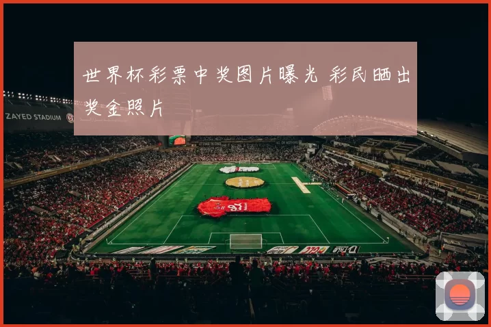 世界杯彩票中奖图片曝光 彩民晒出奖金照片