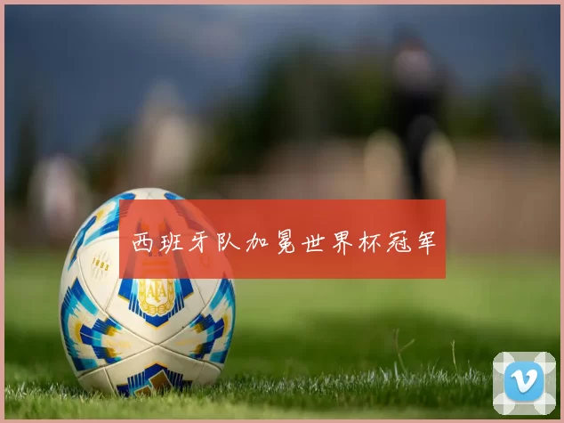 西班牙队加冕世界杯冠军