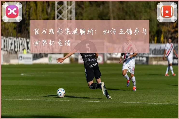 官方购彩渠道解析：如何正确参与世界杯竞猜