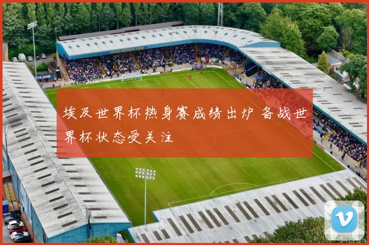 埃及世界杯热身赛成绩出炉 备战世界杯状态受关注