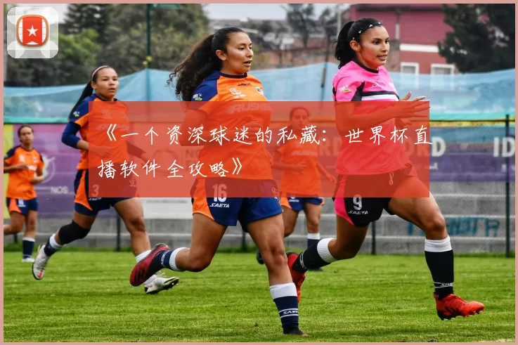 《一个资深球迷的私藏：世界杯直播软件全攻略》