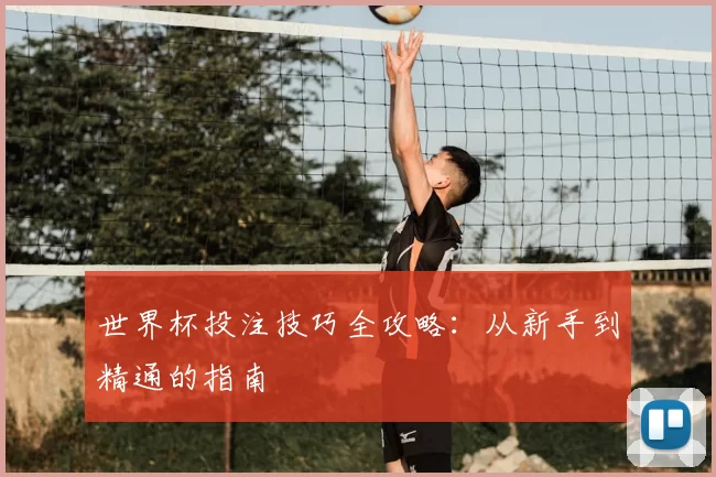 世界杯投注技巧全攻略：从新手到精通的指南