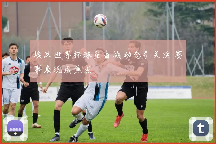 埃及世界杯球星备战动态引关注 赛事表现成焦点