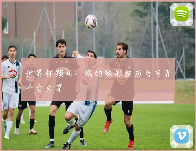 世界杯期间,我的购彩经历与可靠平台分享