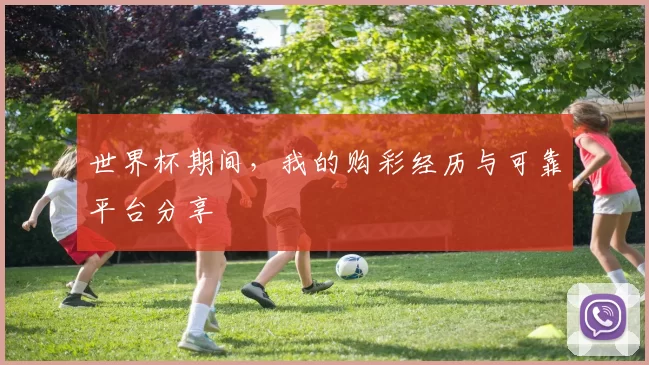 世界杯期间,我的购彩经历与可靠平台分享